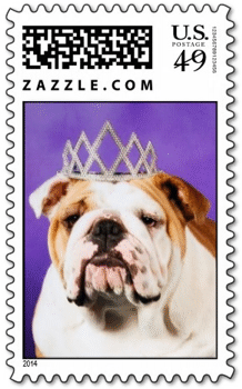 Bulldog Queen